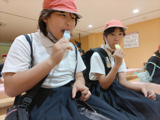 Photo_3