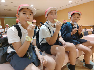 Photo_4
