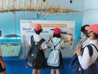 Img_20250604_150434_2