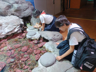 Img_20250604_151852_2