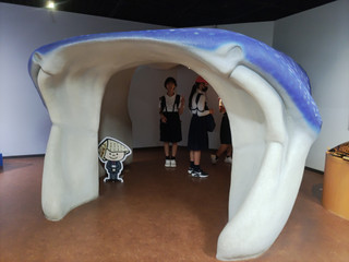 Img_20250604_152012