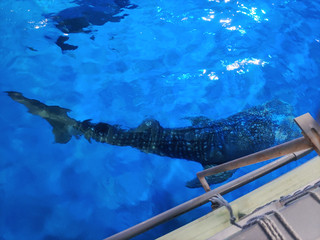 Img_20250604_164011
