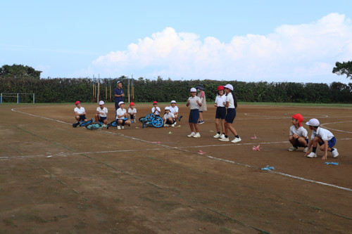 Img_7339 Img_7339