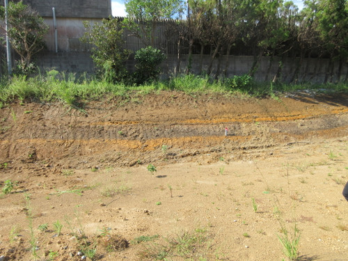Img_0424 Img_0424