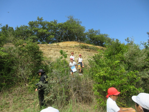 Img_0449 Img_0449
